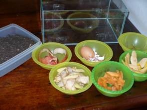 [clip_image002[10].jpg]